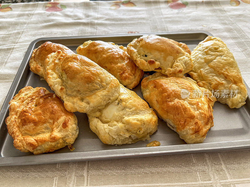 Homemade Peruvian savoury speciality of meat empanada